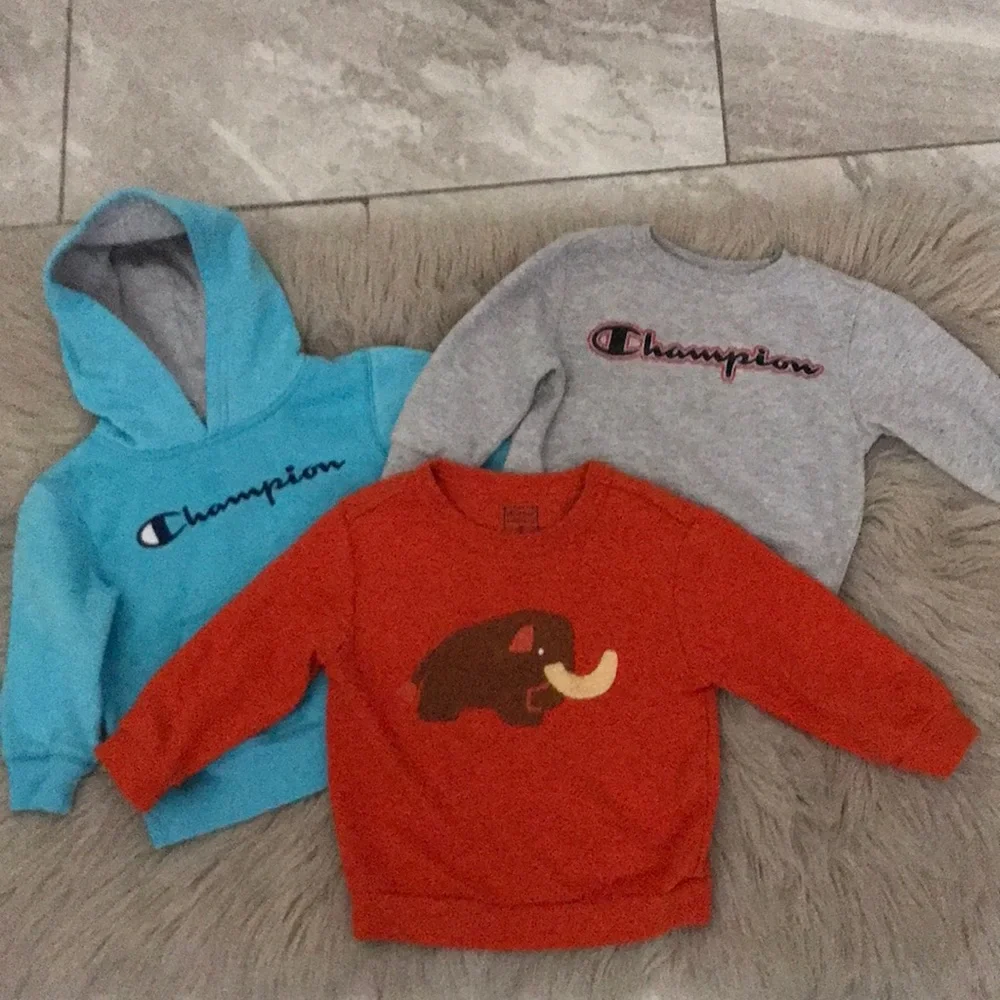 Champion/ Christian Robinson Boys Sweatshirt | Bundle of Three | 2T
